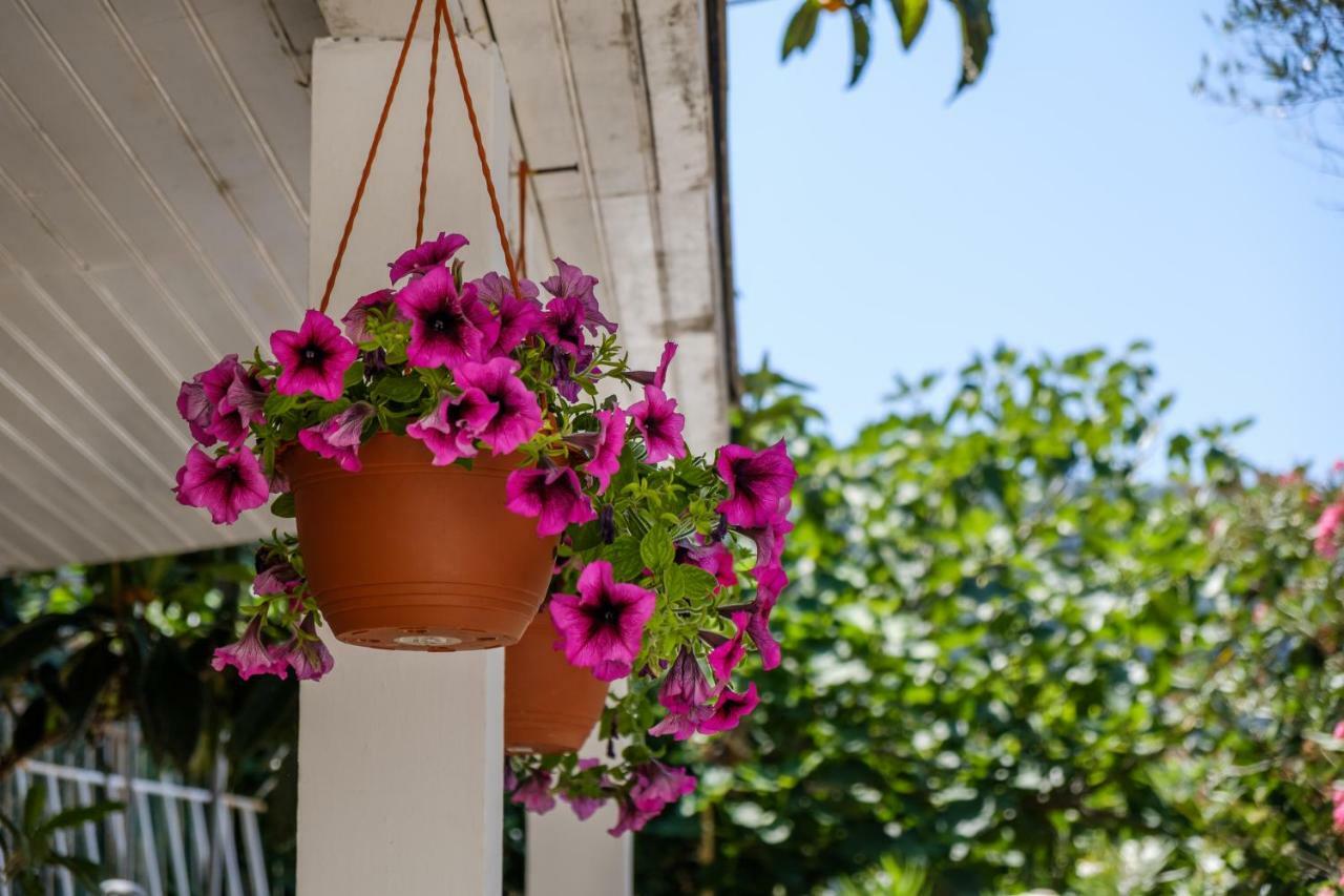 Cuore Di Milka Apartments Veli Lošinj Exterior foto